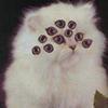 @JosieCodes