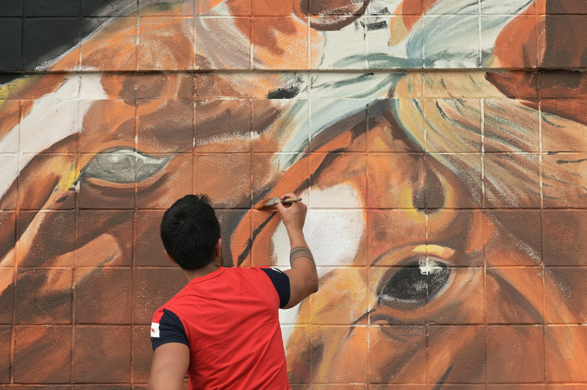 A young man wearing a red t-shirt paints a mural of a horse.