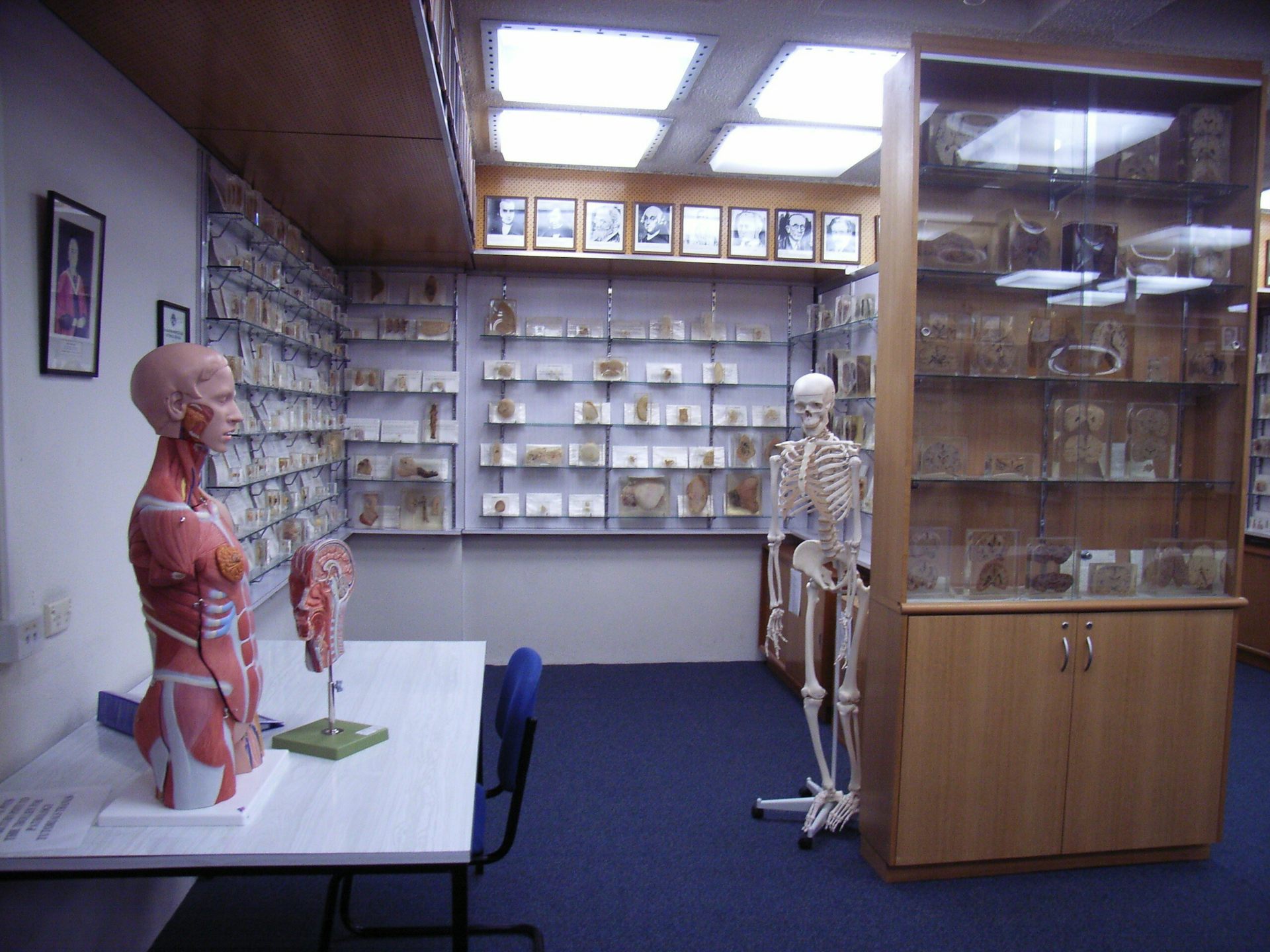 Interior of a museum. 