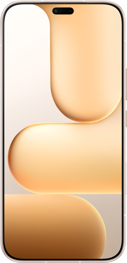 HONOR 600 Lite