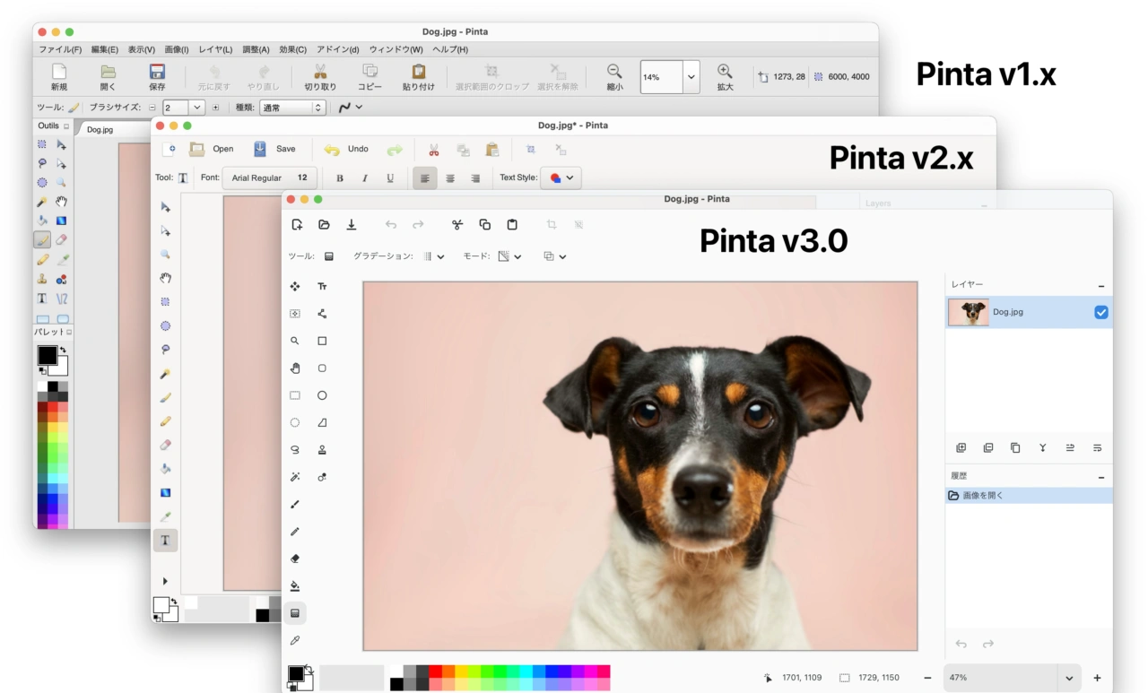 Pinta v1.x, v2.x, v3.0