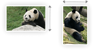 resizing scale
