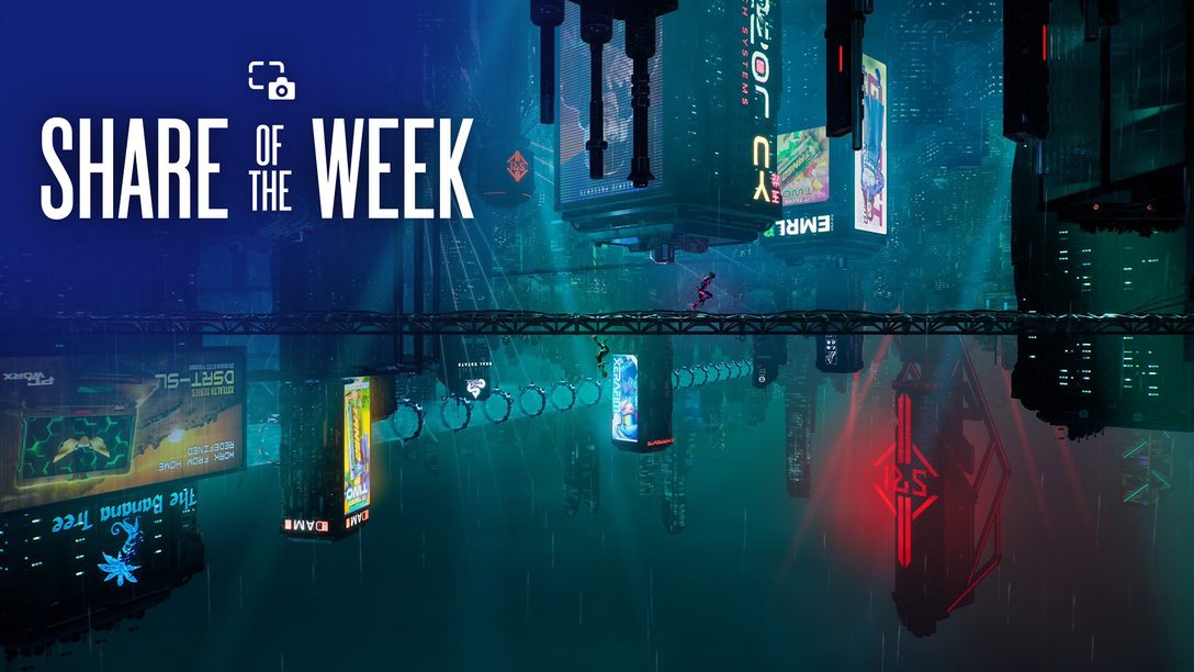 Share of the Week: Duality