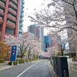 「話のわかりやすい人」と「わかりにくい人」のちがい 「話のわかりやすい人」と「わかりにくい人」のちがい