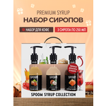 Набор сиропов SPOOM Кокос Лесной орех Соленая карамель для кофе 3шт 250мл + 3 дозатора