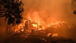 The structure of a building burns to the ground surrounded by fire with trees on fire as well.