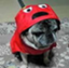 hamasyou_bot hamasyou_bot