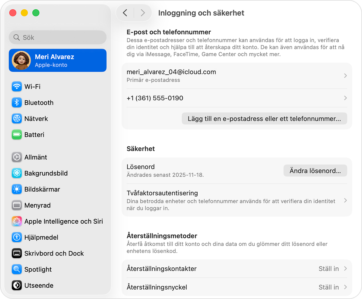 Mac som visar inloggnings- och säkerhetsinställningar.