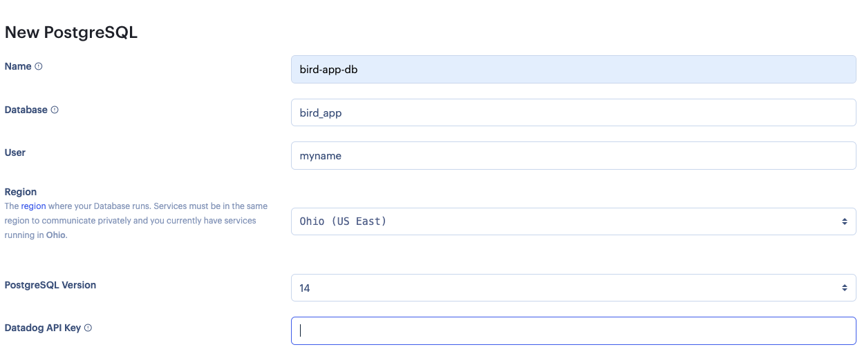 form with fields name, database, user, region, postgresql version, and datadog api key