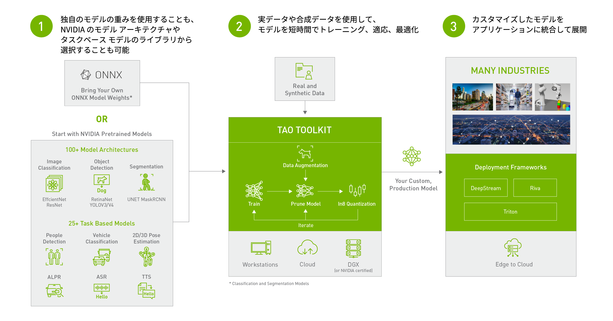 What is TAO Toolkit and how does it fit into AI model development workflow?