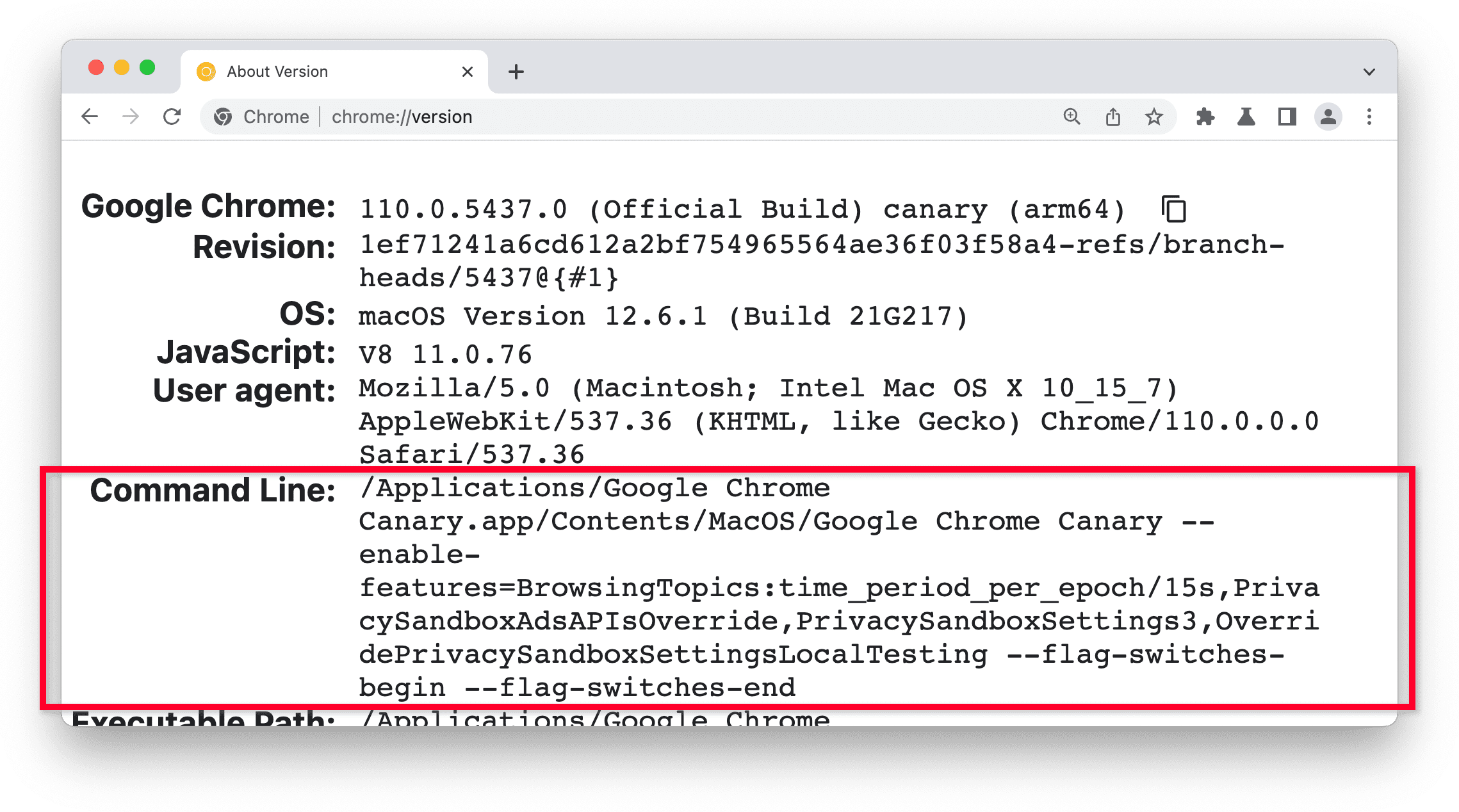 Chrome Canary 版中的 Chrome 版本页面,突出显示了“命令行”部分。