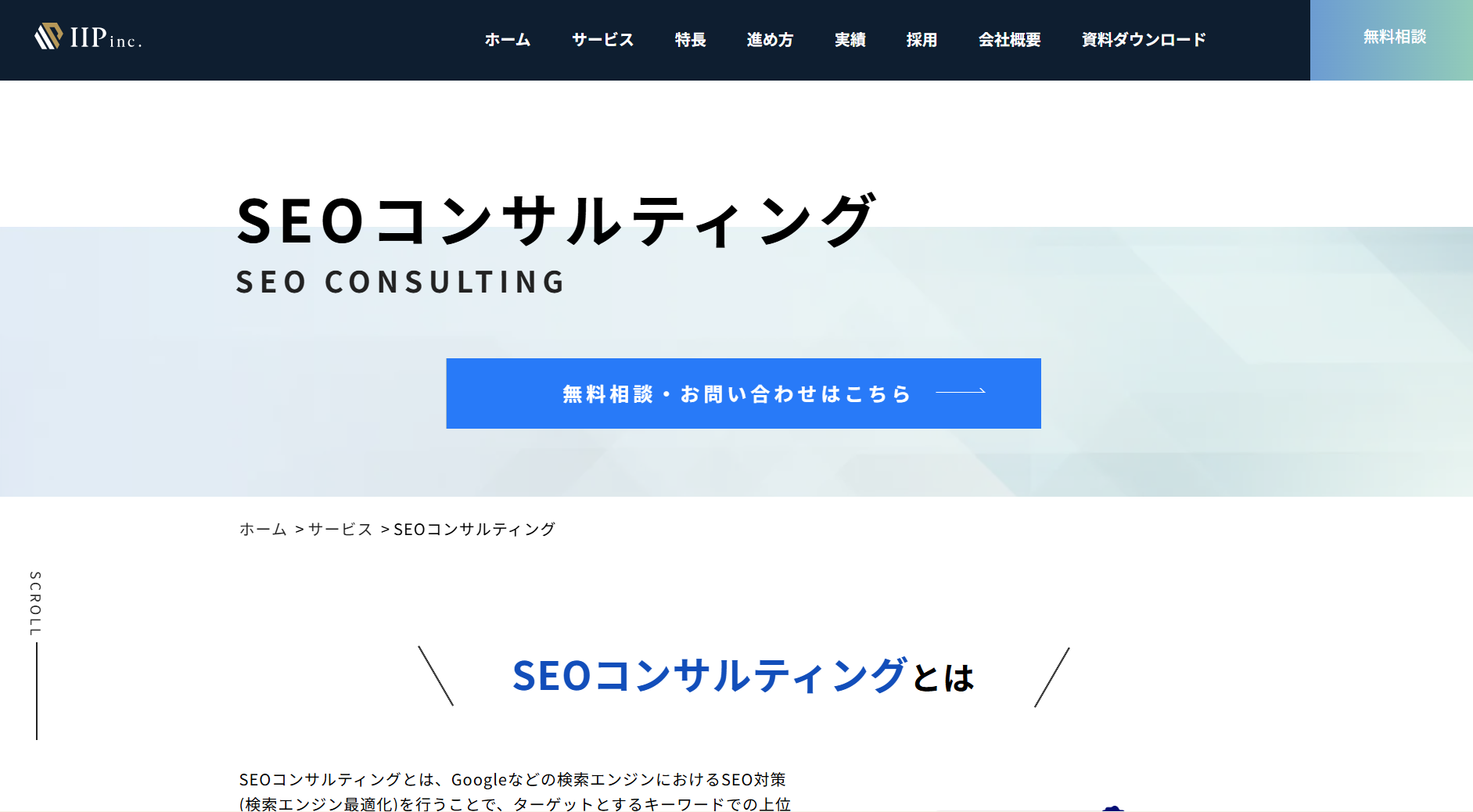 iip-inc-service-seo_consulting iip-inc-service-seo_consulting
