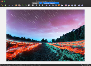 RS File Screenshot Screenshot of a .rs file in XnViewMP