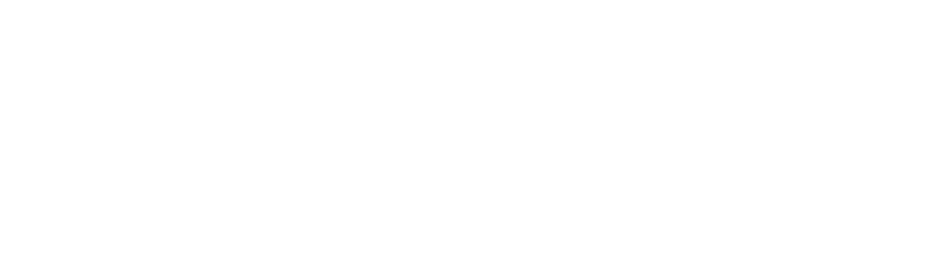 Socket