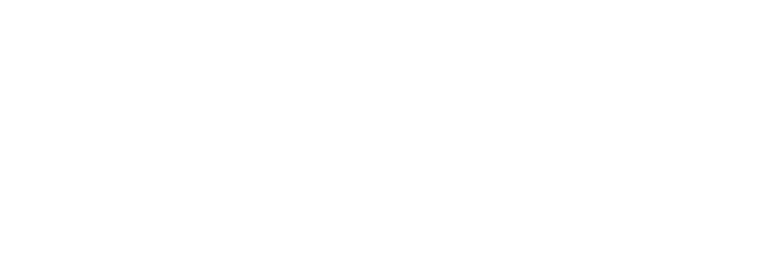 Interstis logo