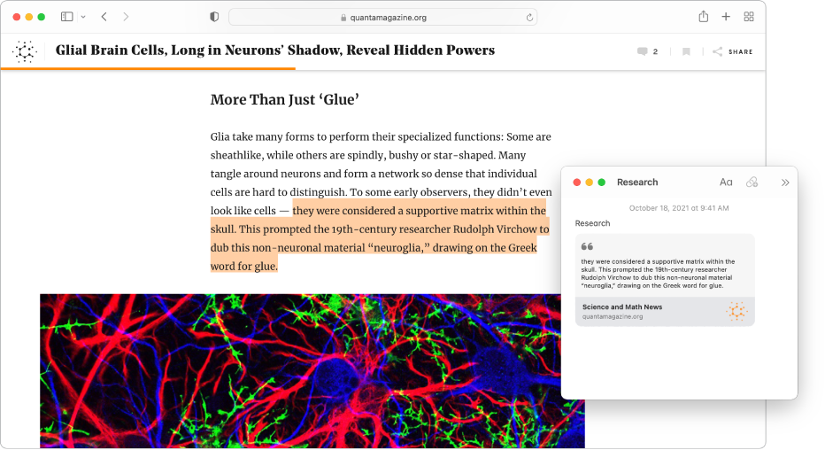 A Safari window with highlighted text in a magazine article and a Quick note called “Research” that includes the text and a link to the article.