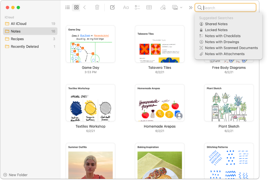 Notes in gallery view—showing the content of each in a thumbnail. Suggested searches appear in the top-right corner, such as locked notes and notes with attachments.