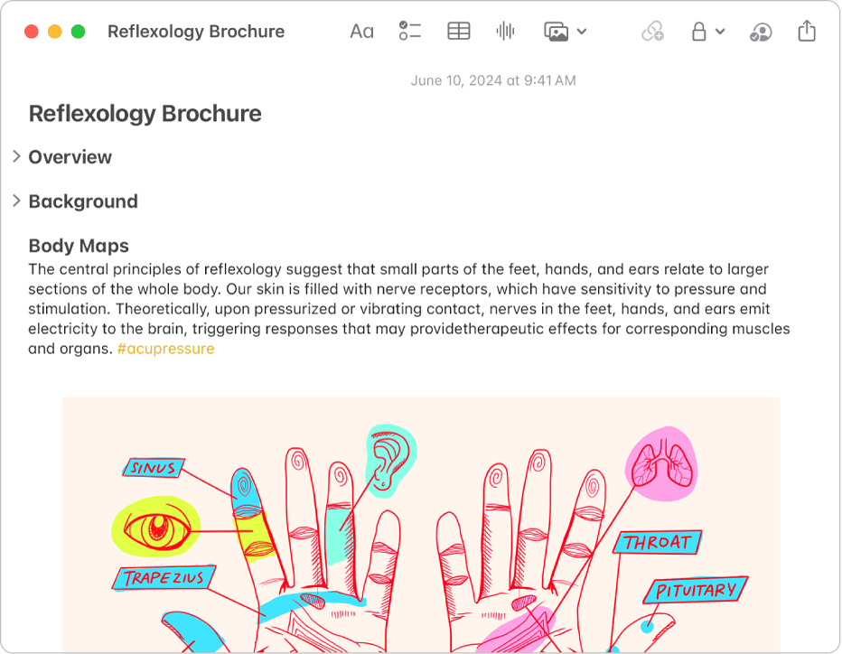 Une fenêtre de l’app Notes sur Mac affichant des sections condensables : deux condensées et une développée. Seul le titre est visible pour les sections condensées, avec le bouton permettant de les développer. La section développée présente un titre secondaire, le corps du texte, un tag et une image.