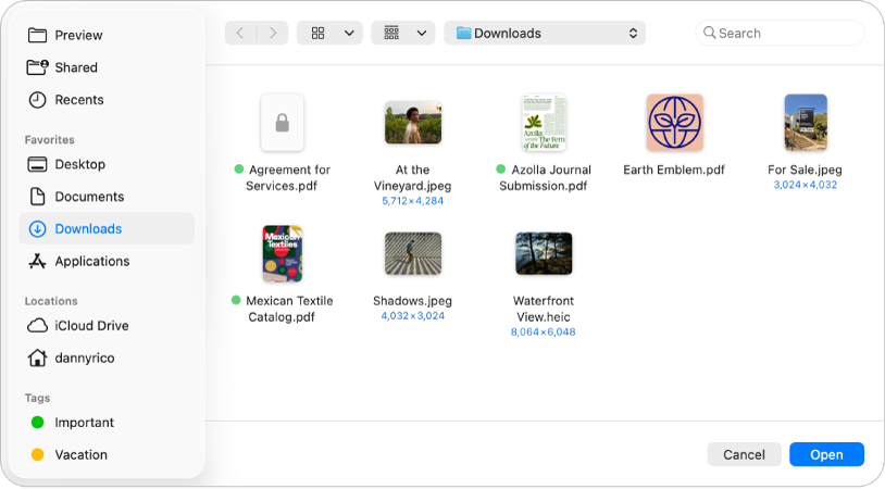 The Open File dialogue in the Preview app, showing PDF and image files as icons. At the bottom right are the Cancel and Open buttons.