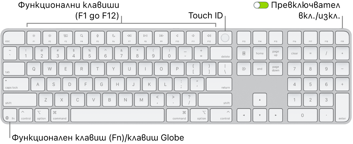 Клавиатурата Magic Keyboard с Touch ID и Numeric Keypad, която показва редицата с функционални клавиши, Touch ID в горния край и клавиша Function (Fn)/Globe вдясно от клавиша Delete.