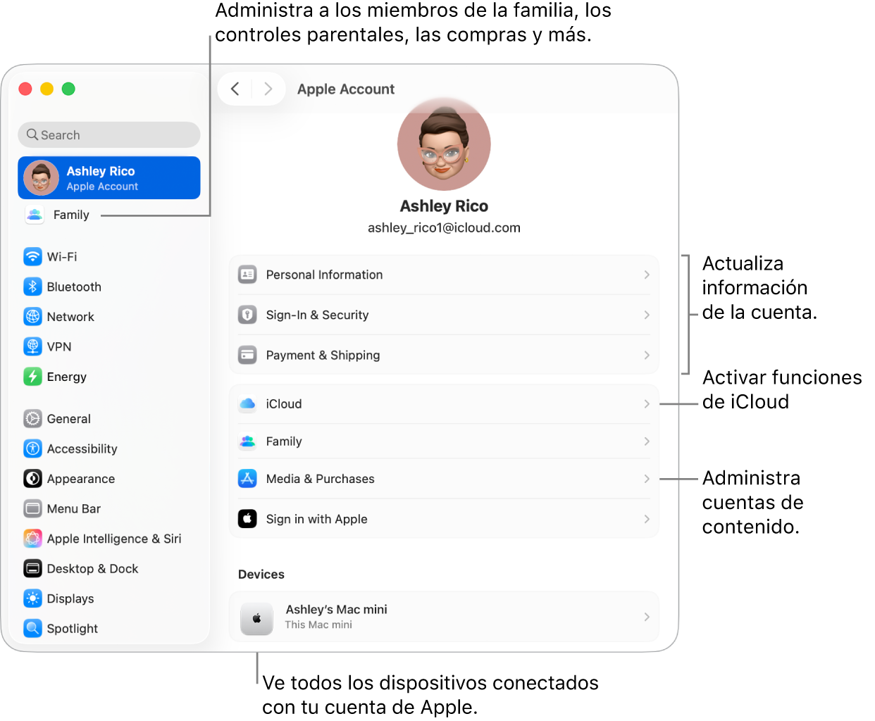 La configuración de la cuenta de Apple en Configuración del Sistema con textos para actualizar la información de la cuenta, activar o desactivar funciones de iCloud, administrar cuentas de contenido, y Familia, donde puedes administrar familiares, controles parentales, compras y más.