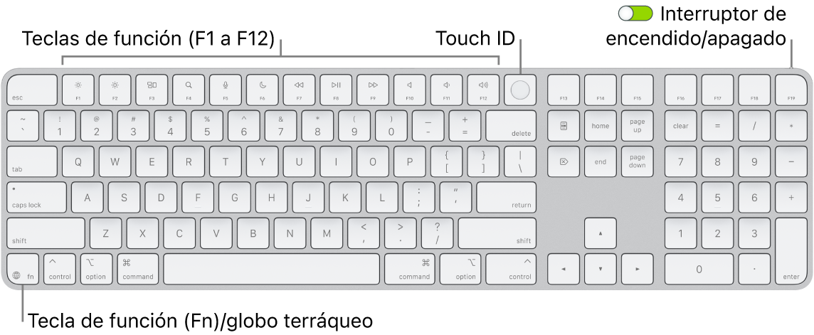 El Magic Keyboard con Touch ID y teclado numérico mostrando la fila de teclas de función con el sensor Touch ID en la parte superior y la tecla de función (Fn)/globo terráqueo a la derecha de la tecla Suprimir.
