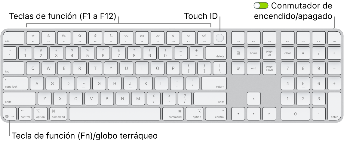 Magic Keyboard con Touch ID y teclado numérico, con la fila de teclas de función y Touch ID en la parte superior, y la tecla del globo terráqueo o función (Fn) a la derecha de la tecla Suprimir.
