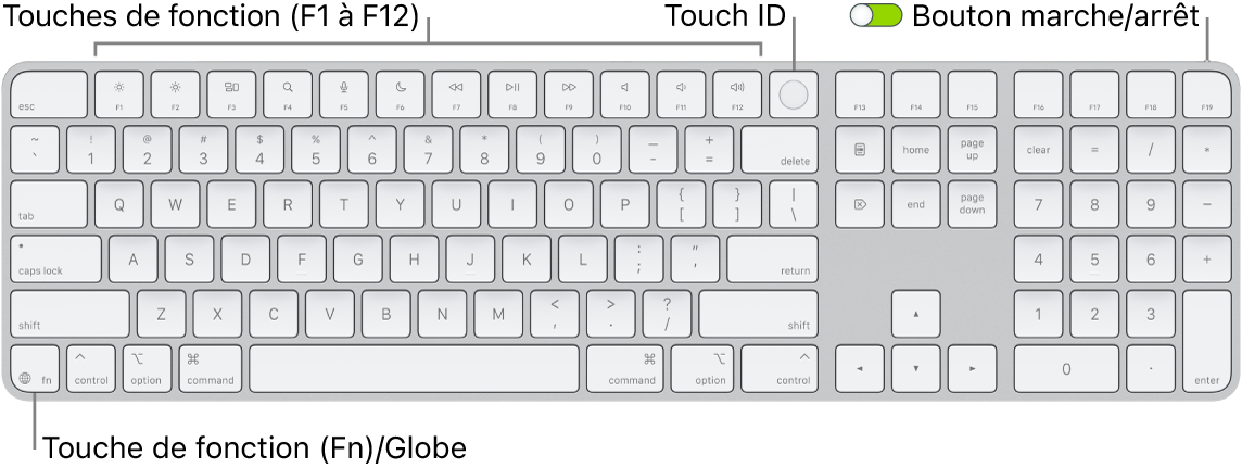 Le Magic Keyboard avec Touch ID et pavé numérique affichant le rang des touches de fonction et le capteur Touch ID en haut, ainsi que la touche Fonction (Fn)/Globe à droite de la touche Supprimer.