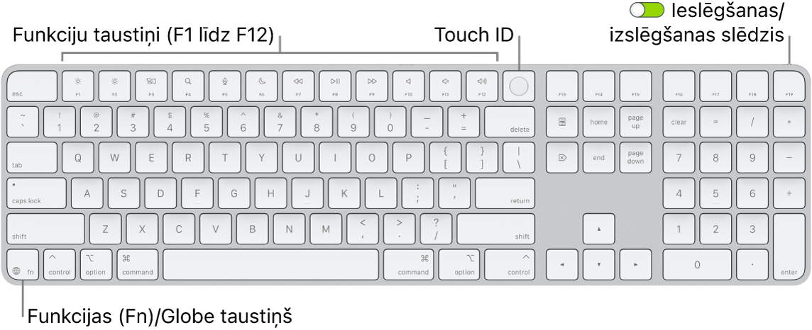 Tastatūra Magic Keyboard ar Touch ID un ciparu tastatūra, kam augšdaļā redzama funkciju taustiņu rinda un Touch ID, bet pa labi no taustiņa Delete — taustiņš Function (Fn)/Globe.