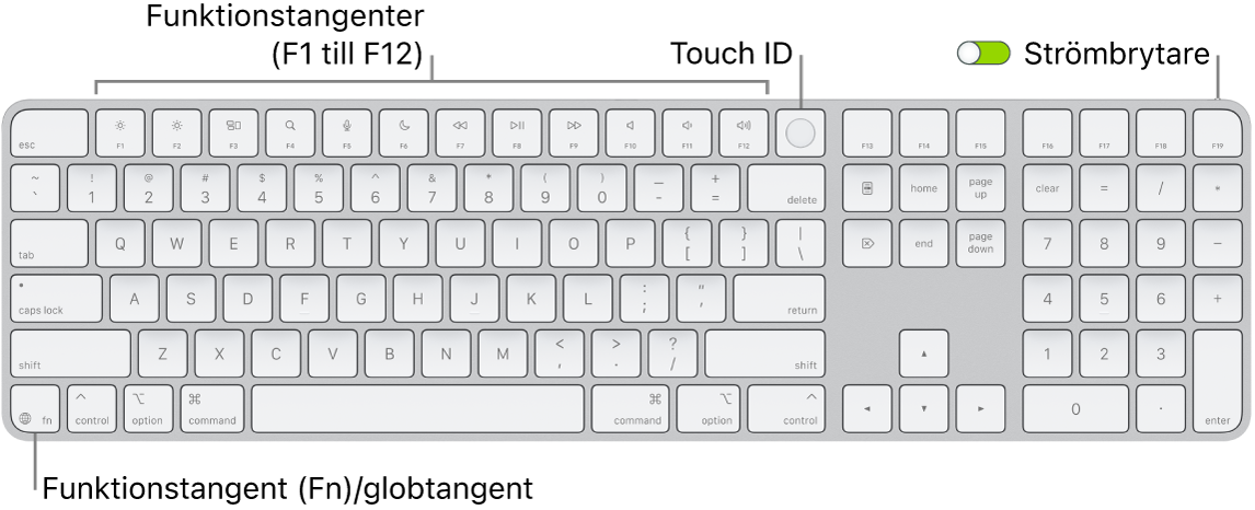 Magic Keyboard med Touch ID och numeriskt tangentbord där raden med funktionstangenter och Touch ID visas längs överkanten och funktions (Fn)-/globtangenten till höger om backstegstangenten.