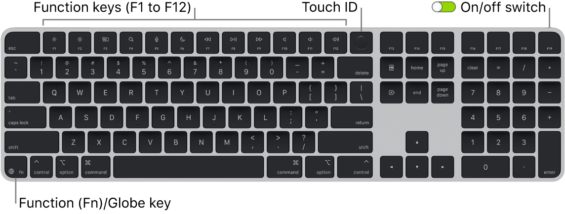 The Magic Keyboard with Touch ID and Numeric Keypad showing the row of function keys and Touch ID across the top, and the Function (Fn)/Globe key on the bottom left.