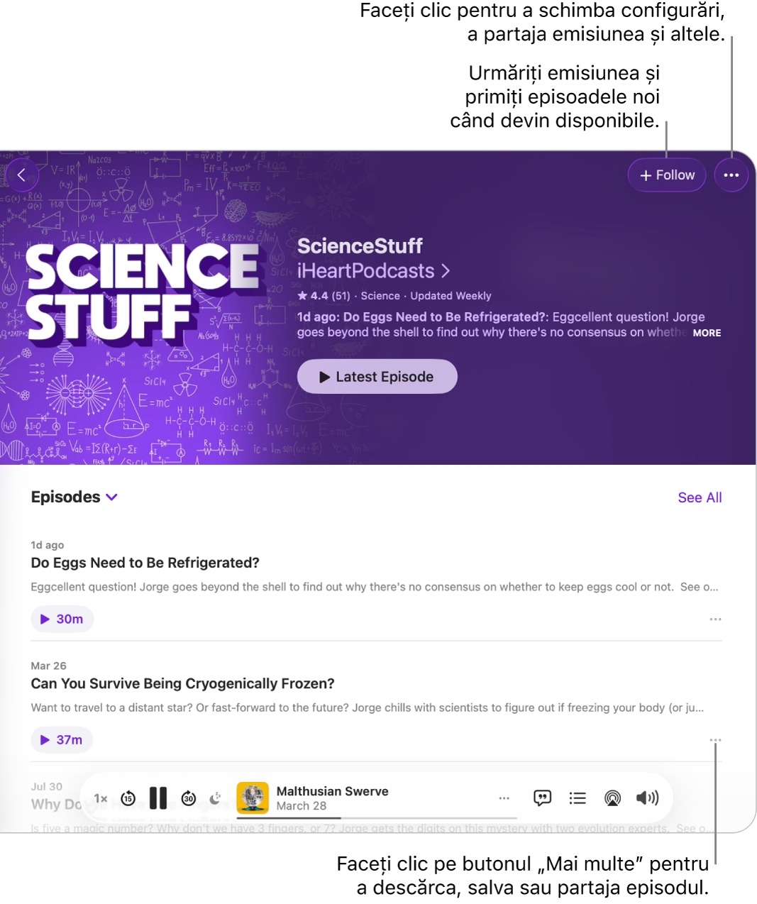 O fereastră Podcasturi afișând o listă de episoade dintr‑un podcast. Butonul Urmăriți din partea de sus a ferestrei vă permite să urmăriți emisiunea, iar butonul „Mai multe” de lângă fiecare episod vă permite să descărcați sau să salvați episodul respectiv.