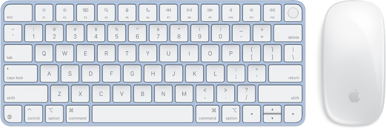 Το Magic Keyboard με Touch ID και Magic Mouse.