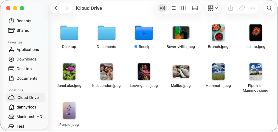 Una finestra del Finder aperta che mostra i file come icone.