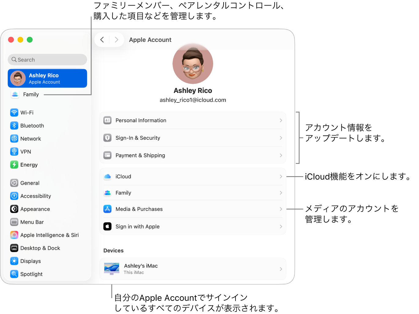 「システム設定」の「Apple Account」設定。アカウント情報のアップデート、iCloud機能のオン/オフ、メディアアカウントの管理と、ファミリーメンバー、ペアレンタルコントロール、購入などを管理できる「ファミリー」へのコールアウトがあります。