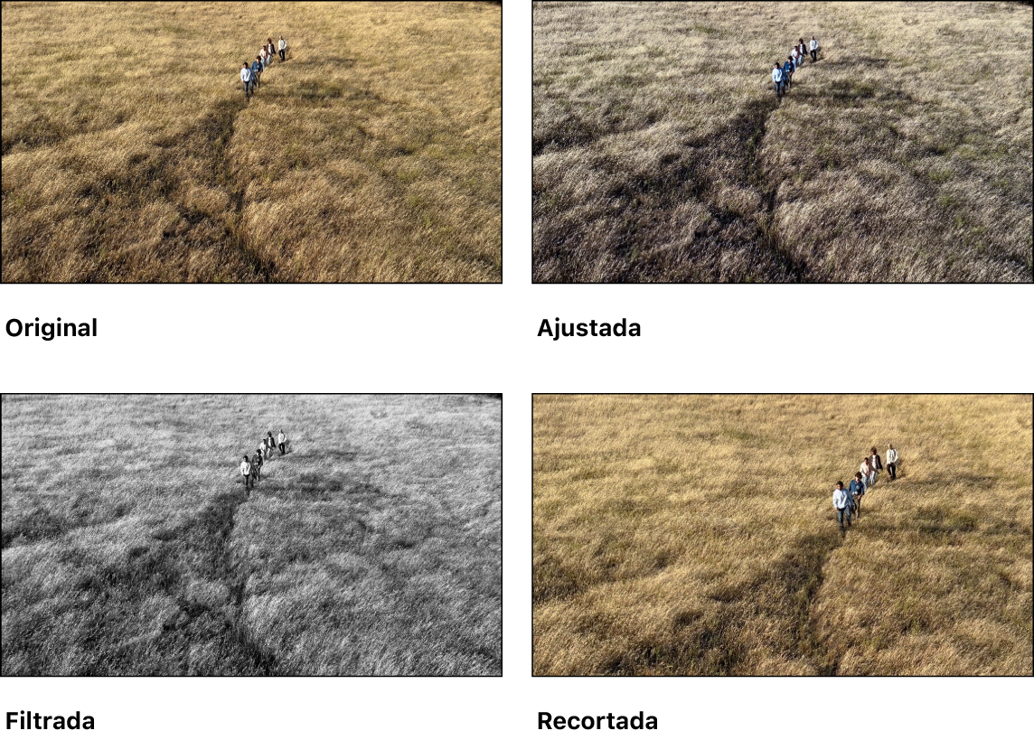 Cuatro versiones de un video: el video original, una versión con ajustes aplicados, una versión con un filtro aplicado y una versión que está recortada para crear una vista ampliada.