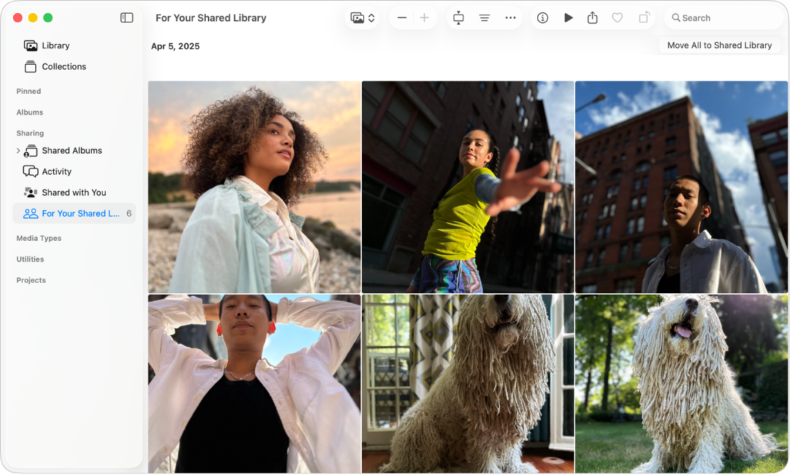 La fenêtre Photos montrant l’option « Pour votre photothèque partagée » sélectionnée dans la barre latérale et des suggestions de photos à ajouter à la photothèque partagée sur la droite.