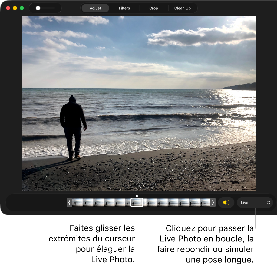 Une Live Photo en mode édition avec un curseur présentant les images de la photo. À droite du curseur se trouvent le bouton Haut-parleur et un menu local que vous pouvez utiliser pour ajouter un effet de boucle, de rebond ou de pose longue.
