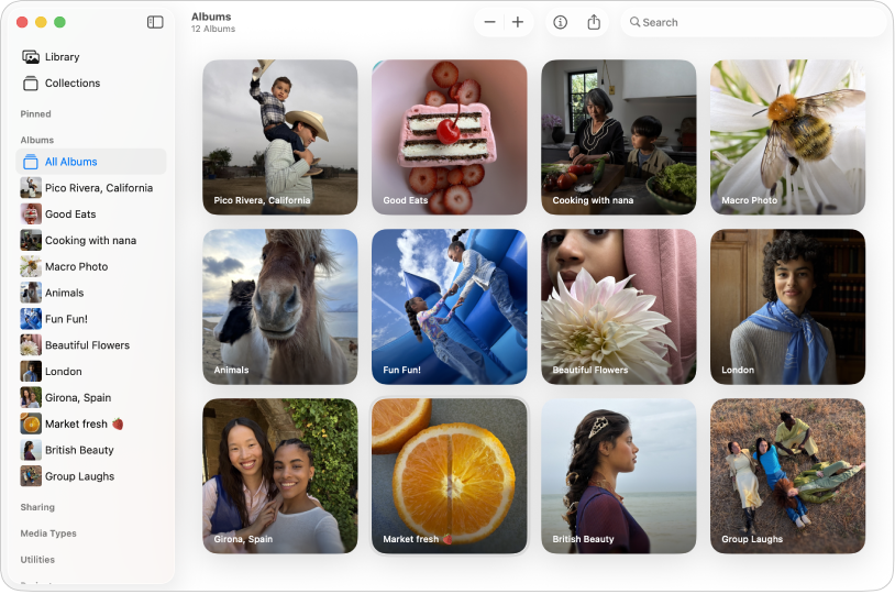 Tetingkap app Foto dengan Semua Album dipilih dalam bar sisi dan album ditunjukkan di sebelah kanan.