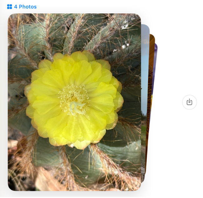 En stak med seks fotos i en samtale. Klik på knappen Gem foto til højre for at gemme disse fotos i dit fotobibliotek.