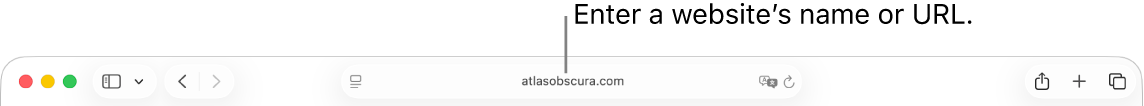 The Safari Smart Search field, where you can enter a website’s name or URL.