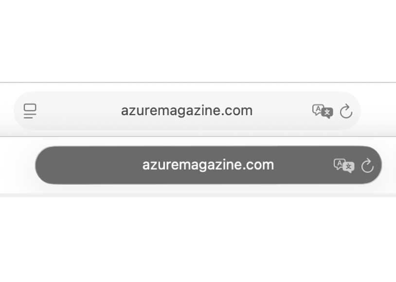 The Smart Search field for a Private Browsing window and for a normal window.