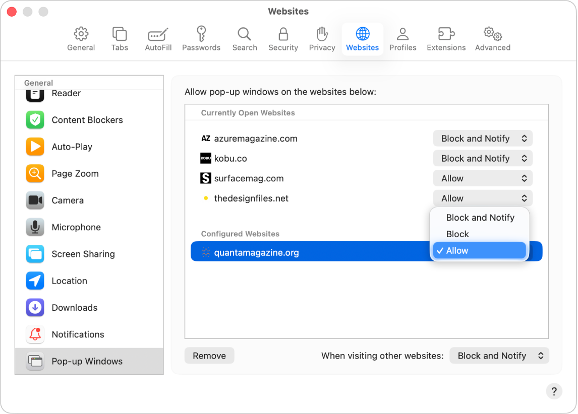 La opción Ventanas emergentes en la configuración de Safari mostrando que se seleccionó Permitir para un sitio web.