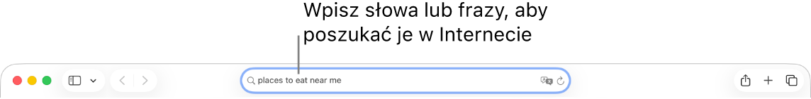 Inteligentne pole wyszukiwania w Safari. Możesz wprowadzać w nim wyrazy i frazy, których chcesz szukać w Internecie.