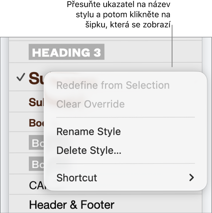Nabídka Styly odstavců s otevřenou nabídkou zkratek.