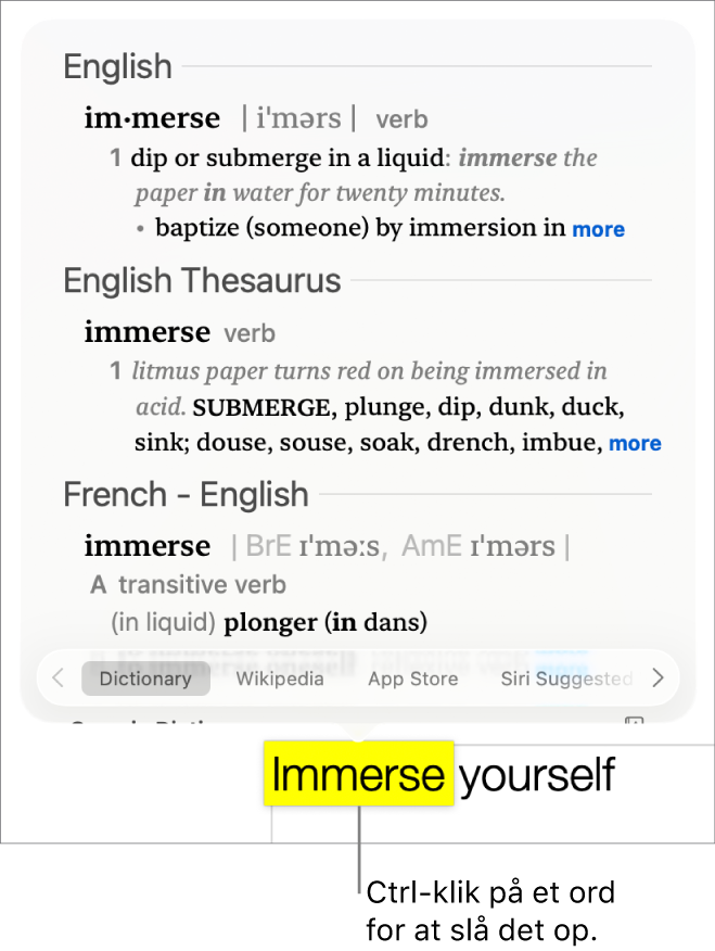 Et afsnit med et markeret ord og et vindue, der viser ordets definition og en indgang fra en synonymordbog. Knapper nederst i vinduet er links til ordbogen, Wikipedia og websteder foreslået af Siri.
