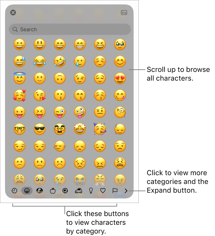 The Character Viewer showing emoji, buttons for different categories of symbols at the bottom, and a button to show more categories and the Expand button.