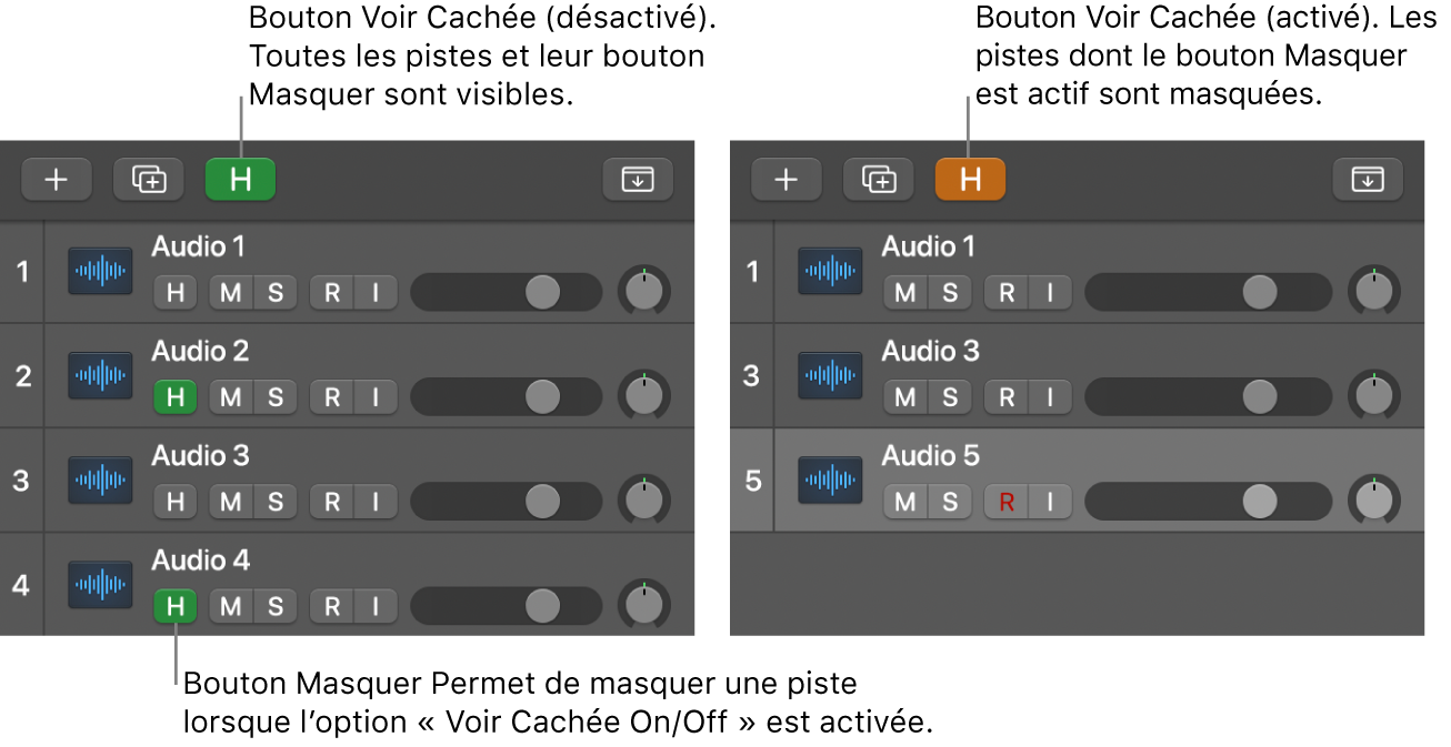 Bouton Masquer et bouton Voir les pistes cachées On/Off.