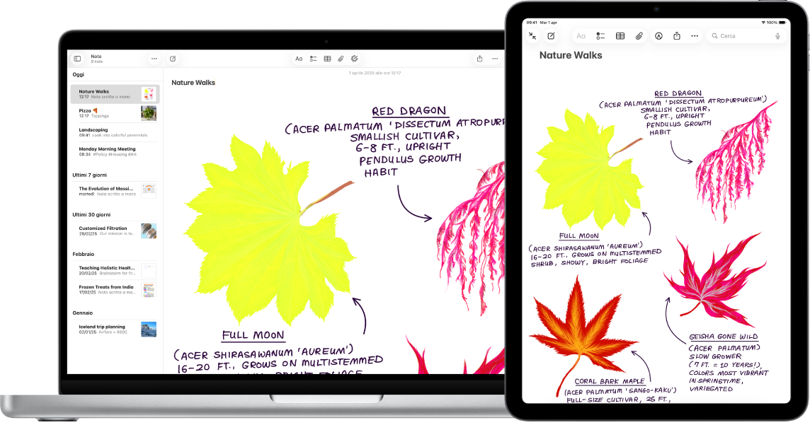 Su iPad è visibile un disegno, accanto, è presente un Mac con lo stesso disegno in una nota.