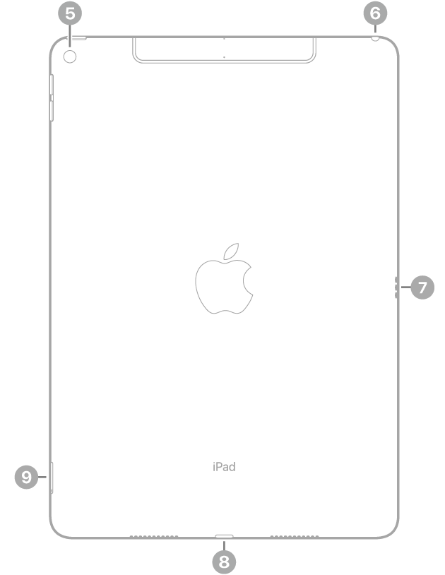O iPad Air visto de trás com chamadas para a câmara traseira no canto superior esquerdo, a ficha para auscultadores na parte superior direita, o Smart Connector à direita, o conector Lightning na parte inferior, ao centro, e o tabuleiro do SIM (Wi-Fi + Cellular) na parte inferior esquerda.